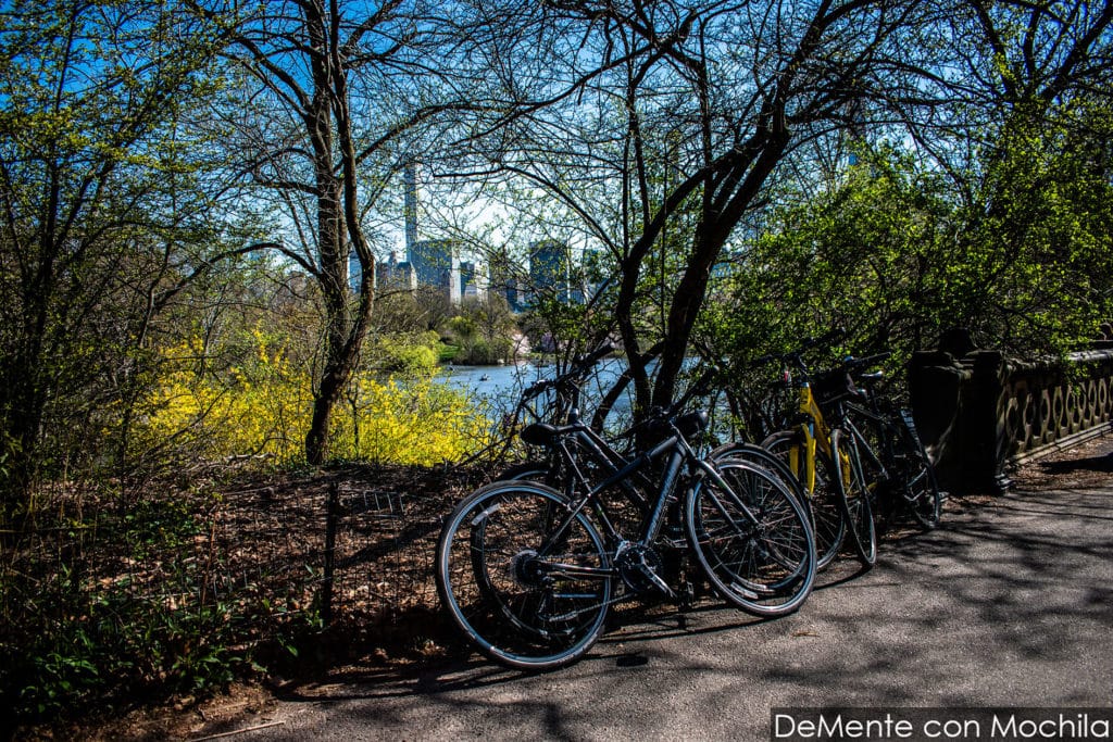 Bicicletas atadas al alambrado en el Central Park, Nueva York. 