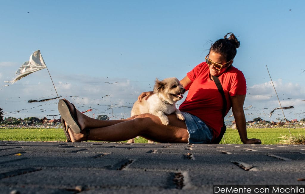 house sitting en bali