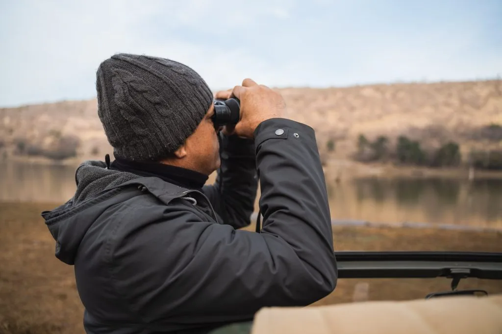 guia de safari buscando señales de tigres de bengala