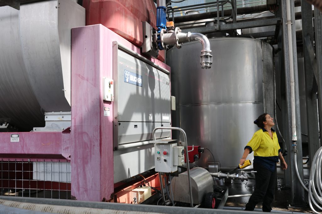 trabajando con la prensa en una bodega de vino