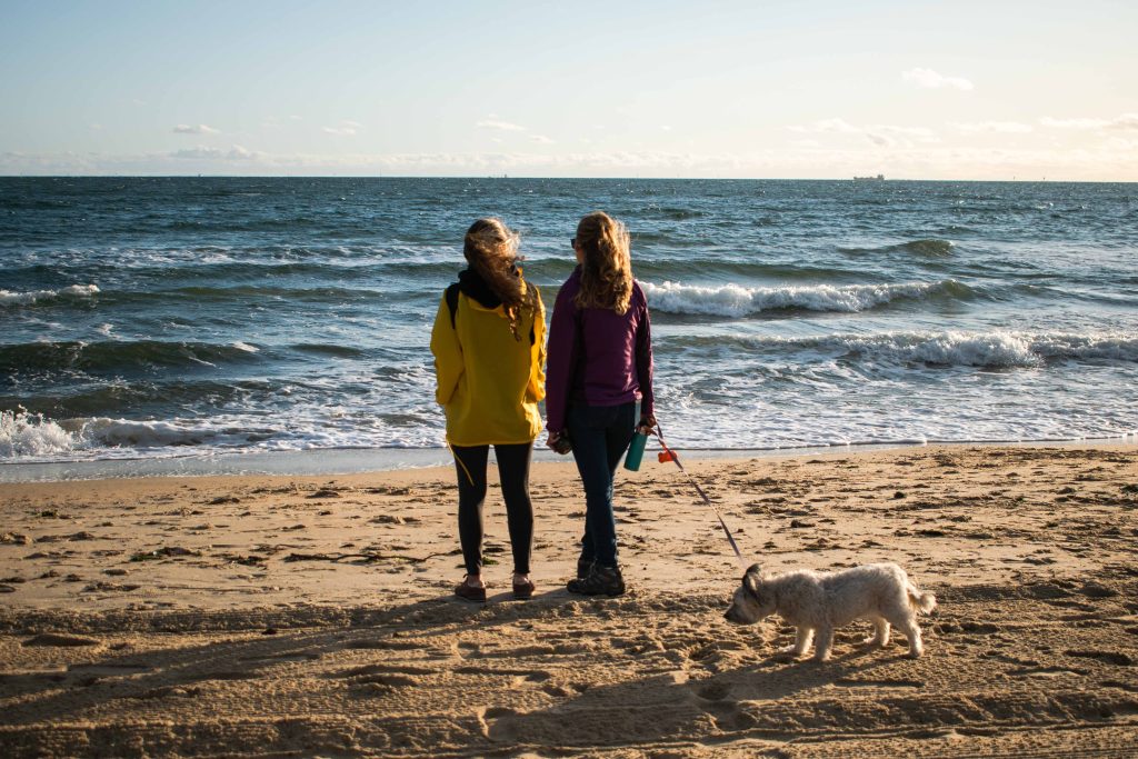 house sitting en melbourne