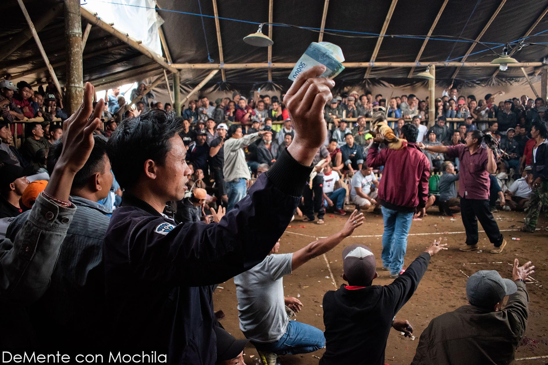 Riña de Gallos en Bali – Fotorreportaje