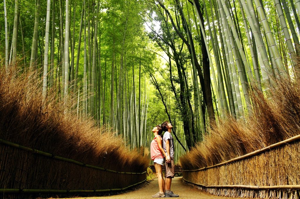 recomendaciones de viajeros